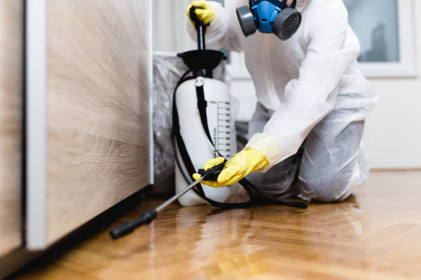 Best Pest Prevention Services  in Leon, IA