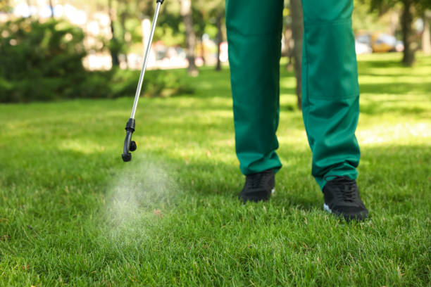 Best Pest Inspection Near Me  in Leon, IA