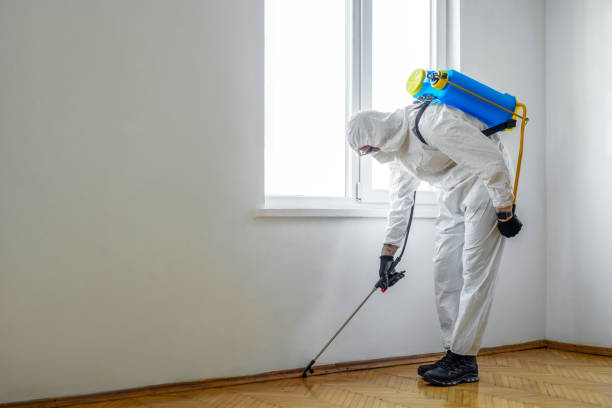 Best Wildlife Control Services  in Leon, IA