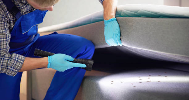 Professional Pest Control in Leon, IA