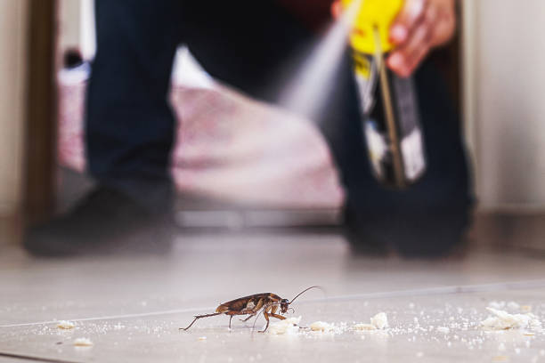 Best Emergency Pest Control  in Leon, IA