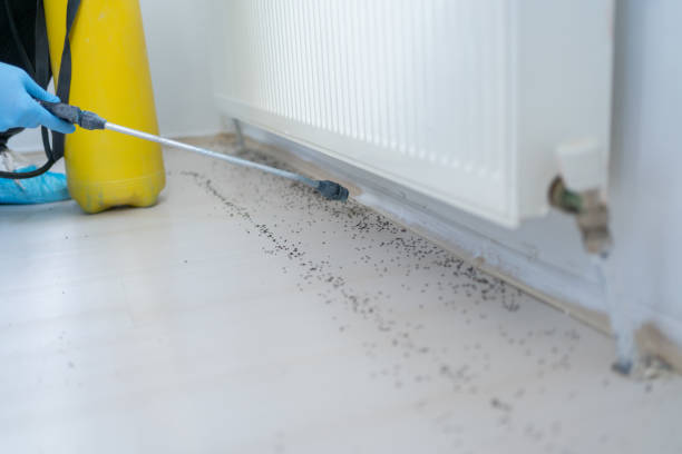 Best Best Pest Control Companies  in Leon, IA