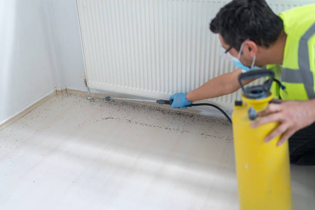 Best Pest Control for Restaurants  in Leon, IA