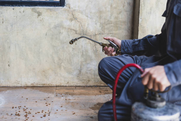 Best Pest Control Near Me  in Leon, IA