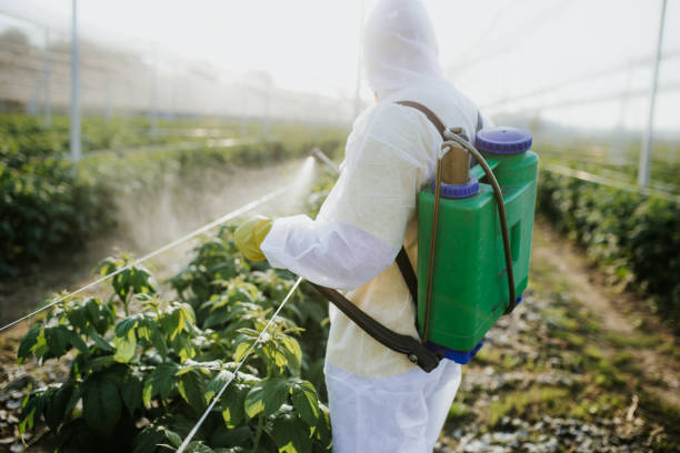 Best Termite Control Services  in Leon, IA